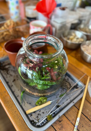 Easter Special Tropical Terrarium Workshop in Sydney