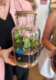 Easter Special Tropical Terrarium Workshop in Sydney