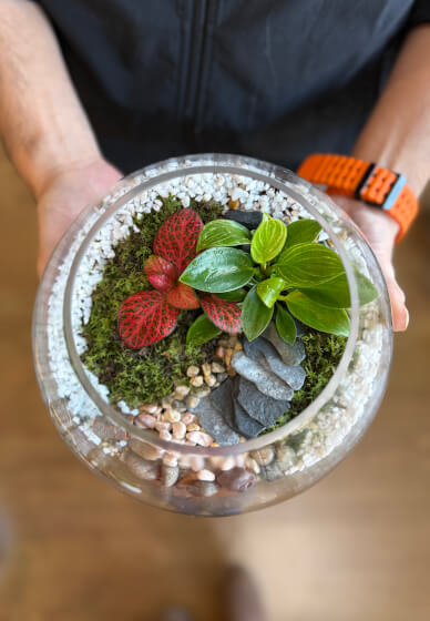 Easter Special Tropical Terrarium Workshop in Sydney