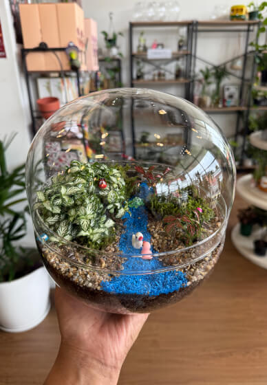 Easter Special Tropical Terrarium Workshop in Sydney
