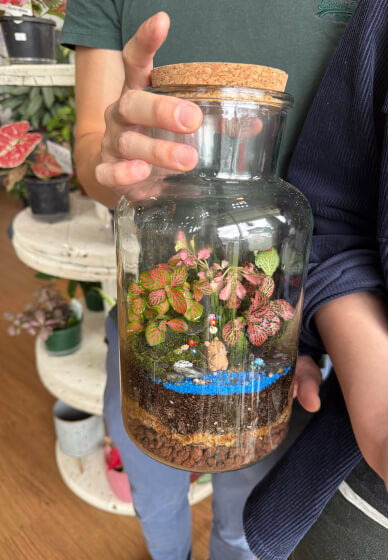 Easter Special Tropical Terrarium Workshop in Sydney