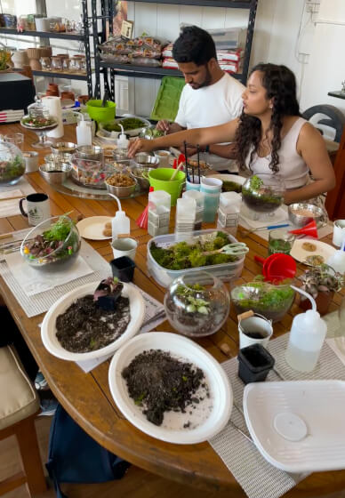 Easter Special Tropical Terrarium Workshop in Sydney