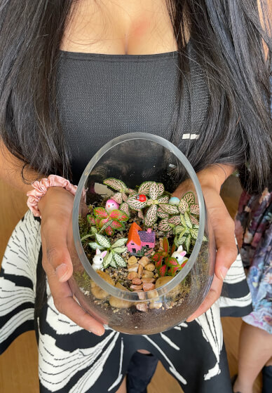 Easter Special Tropical Terrarium Workshop in Sydney