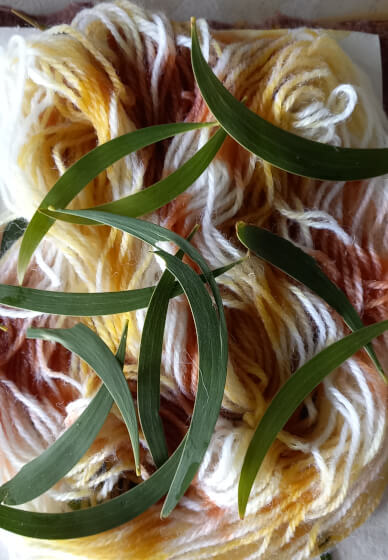 Eco-dye Workshop