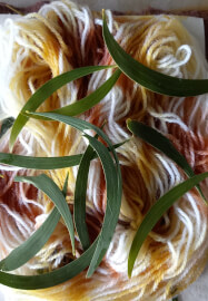 Eco-dye Workshop
