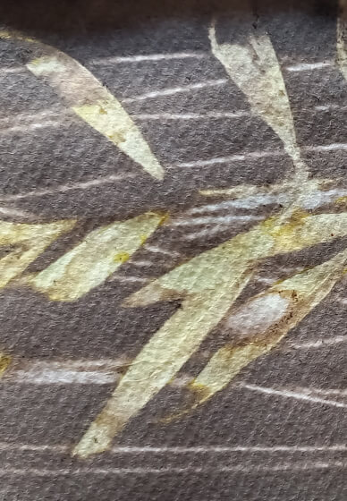 Eco-dye Workshop