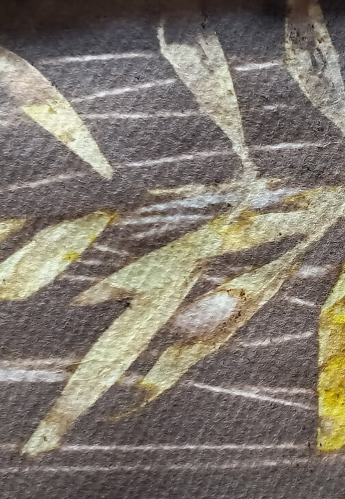 Eco-dye Workshop