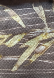 Eco-dye Workshop