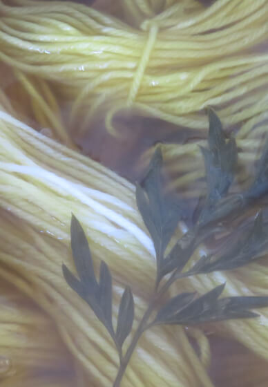 Eco-dye Workshop