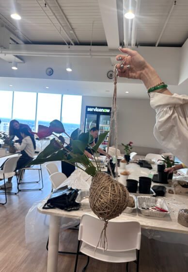 Eco-Friendly Kokedama Making Workshop