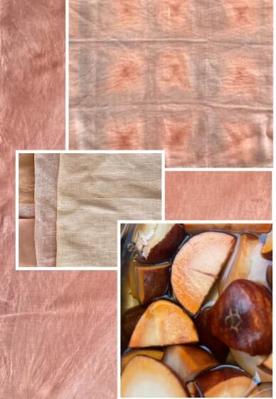 Eco Leaf Printing and Natural Dyeing Workshop