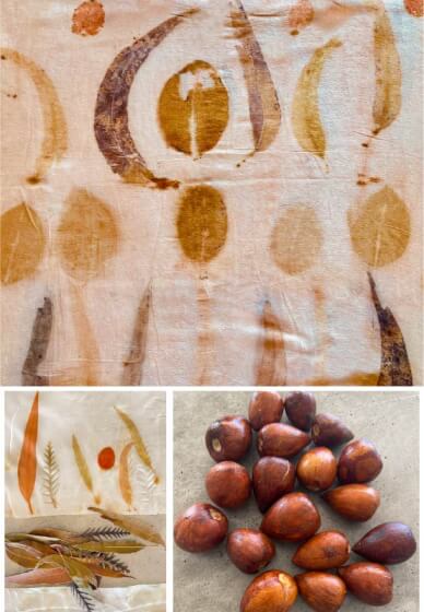 Eco Leaf Printing and Natural Dyeing Workshop