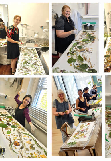 Eco Printing Workshop: Silk Scarf