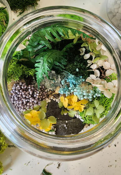 Eco Terrarium Workshop with Natural Preserved Moss