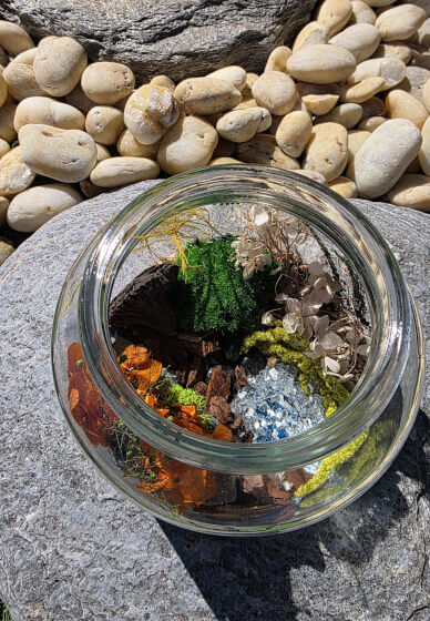 Eco Terrarium Workshop with Natural Preserved Moss