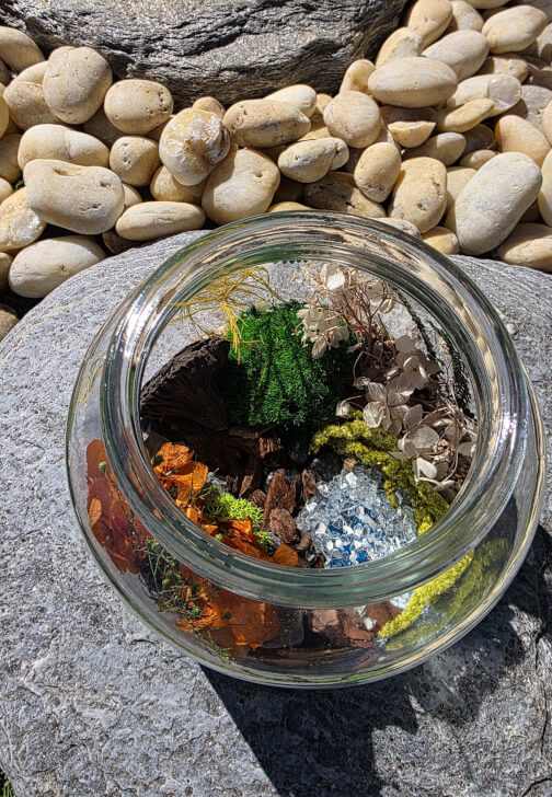 Eco Terrarium Workshop with Natural Preserved Moss