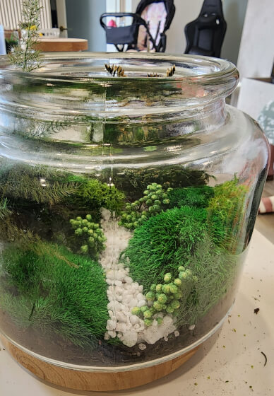 Eco Terrarium Workshop with Natural Preserved Moss