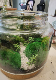 Eco Terrarium Workshop with Natural Preserved Moss