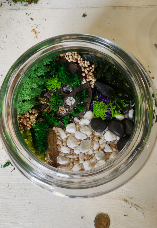 Eco Terrarium Workshop with Natural Preserved Moss