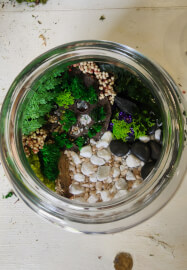 Eco Terrarium Workshop with Natural Preserved Moss