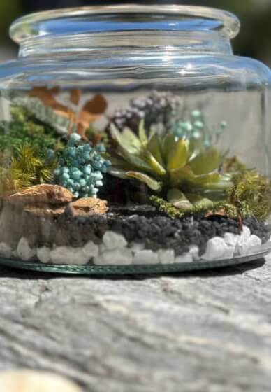 Eco Terrarium Workshop with Natural Preserved Moss