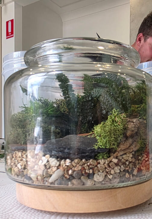 Eco Terrarium Workshop with Natural Preserved Moss