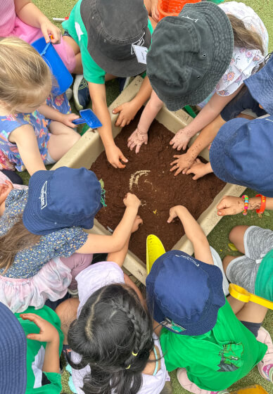 Ecological Farm Kids Fun Workshop
