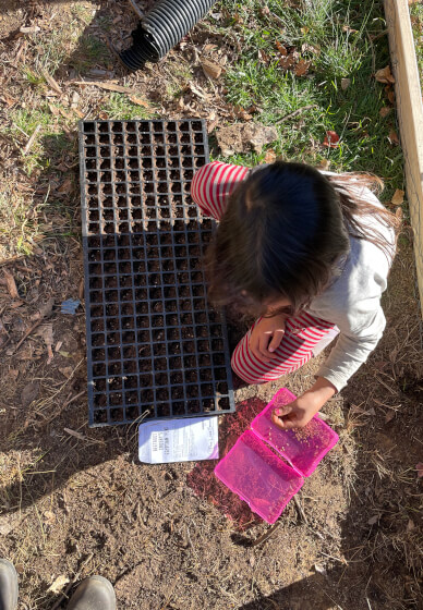 Ecological Farm Kids Fun Workshop