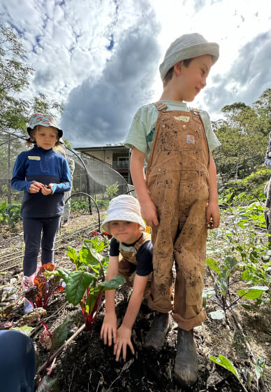 Ecological Farm Kids Fun Workshop