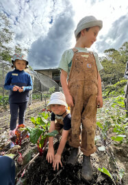Ecological Farm Kids Fun Workshop