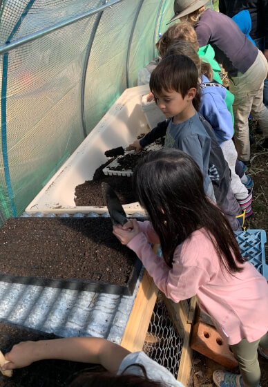 Ecological Farm Kids Fun Workshop