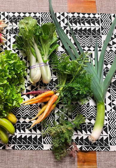 Ecological Growing at Home - Food Focused