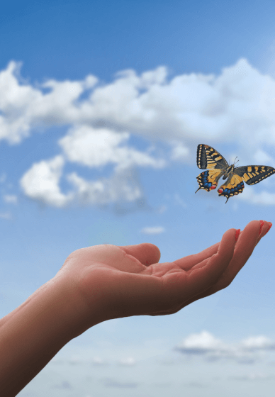 Emotional Reset Workshop: Release Stress and Feel Lighter