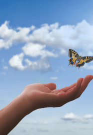 Emotional Reset Workshop: Release Stress and Feel Lighter