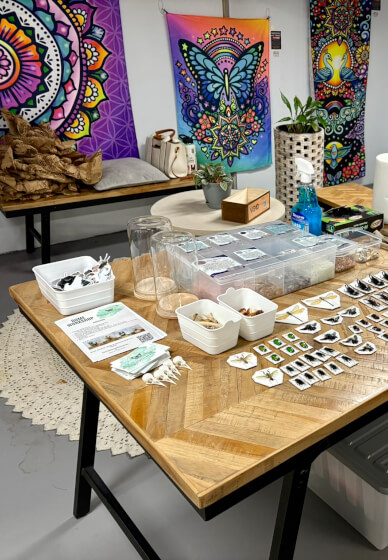 Entomology Workshop: DIY Butterfly Dome