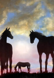 Evening Clouds - 5 Hour Painting Workshop