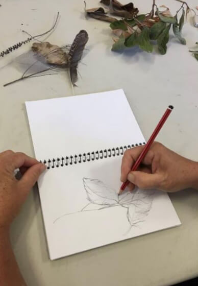 Everything You Need to Know About Drawing Class
