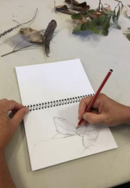 Everything You Need to Know About Drawing Class