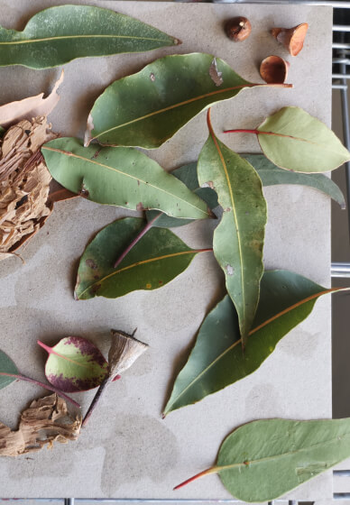 Experimenting with Art Workshop