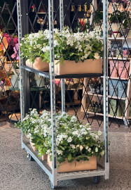 Farmer-Florist Workshop: DYI Event Flowers
