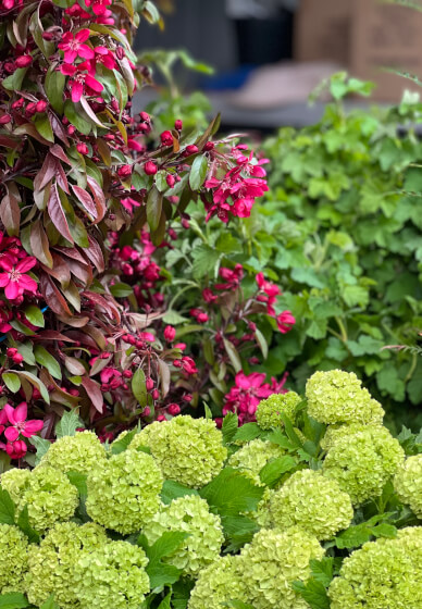 Farmer–Florist Workshop: Garden Style Vase Arrangement