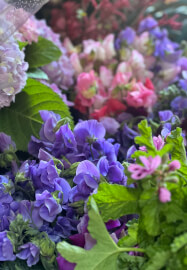 Farmer–Florist Workshop: Garden Style Vase Arrangement
