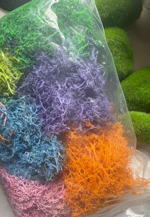 Faux Moss Art Workshop
