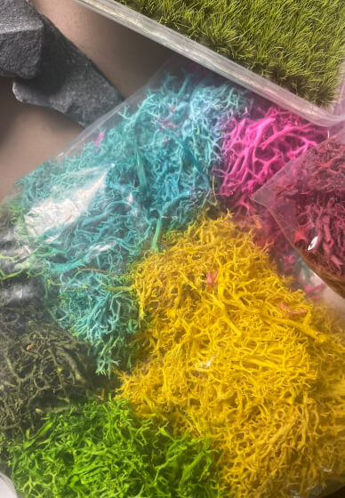 Faux Moss Art Workshop