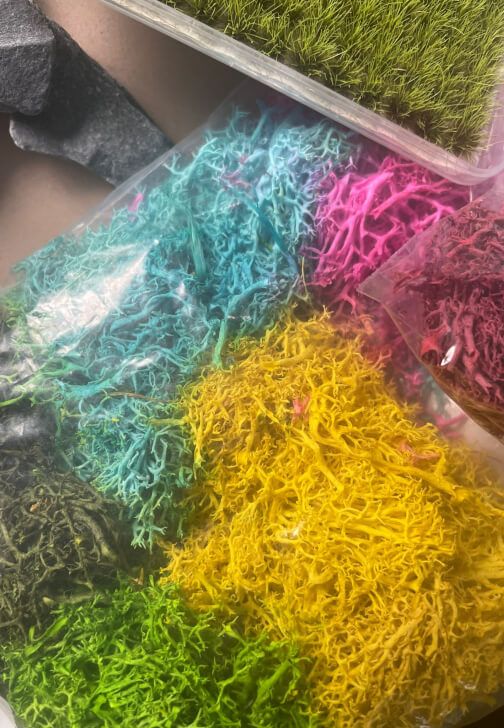 Faux Moss Art Workshop