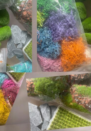 Faux Moss Art Workshop