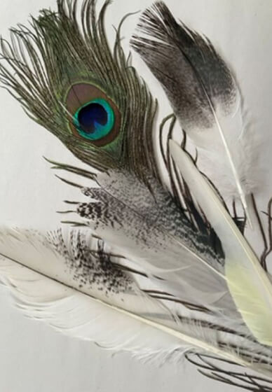 Gel Plate Printing with Feathers Workshop
