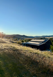 Felt Workshop: Bunting