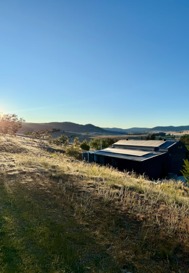 Felt Workshop: Wall Art