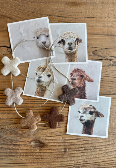 Felting Workshop: Garlands and Decorations